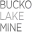 buckolakemine.com