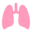 lunginstitute.com