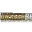 unseenbet.net