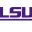 lsuhsfoundation.org