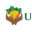 u