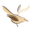 l