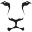 l