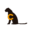 l
