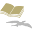 u