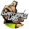 u