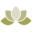 l