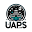u