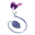 l