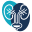 u