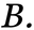 b