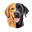 u