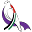 u