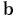 b