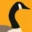 u