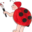 l