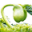 l