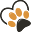 u