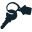 l