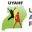u