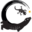 l