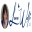 l