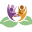l