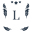 l