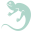 l