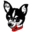l
