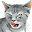 l