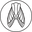 l