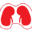 u
