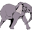 l
