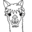 l