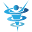 u