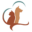 l