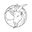 l