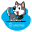 u