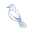 l