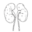 u