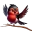 l