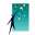 u