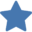 bluestarus.com