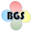 bgs-support-system.com