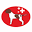 lagottoclub.ch
