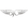 blujetcapital.com