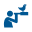 birdinghub.com