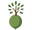l