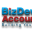 bizdevaccounting.com